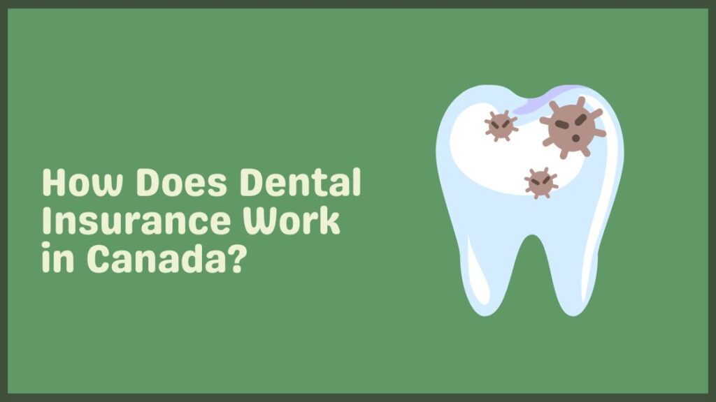 How Does Dental Insurance Work in Canada?